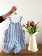 Blue Striped Dungaree
